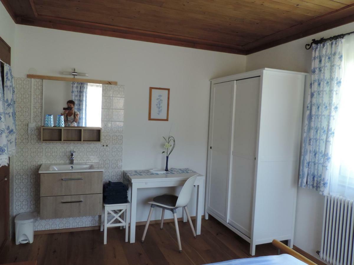 Ferienwohnung Steinberger Bischofshofen Luaran gambar